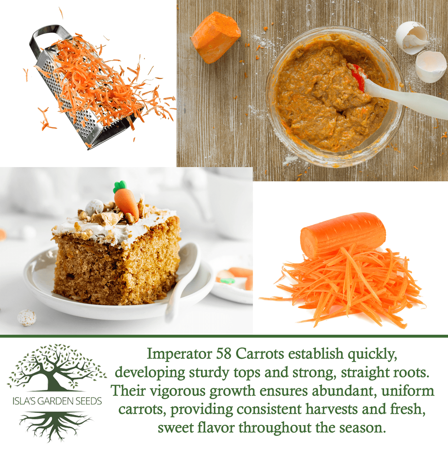 Imperator 58 Carrots | 400 Seeds/Pk