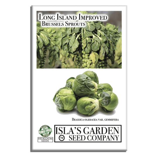 Long Island Improved Brussels Sprouts | 200 Seeds/Pk