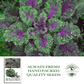 Red Russian Kale | 750 Seeds/Pk