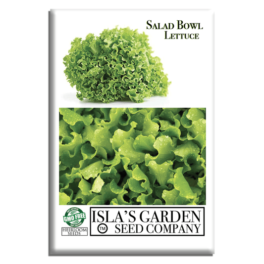 Salad Bowl Lettuce | 1000 Seeds/Pk
