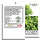Salad Bowl Lettuce | 1000 Seeds/Pk