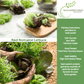 Red Romaine Lettuce | 1000 Seeds/Pk