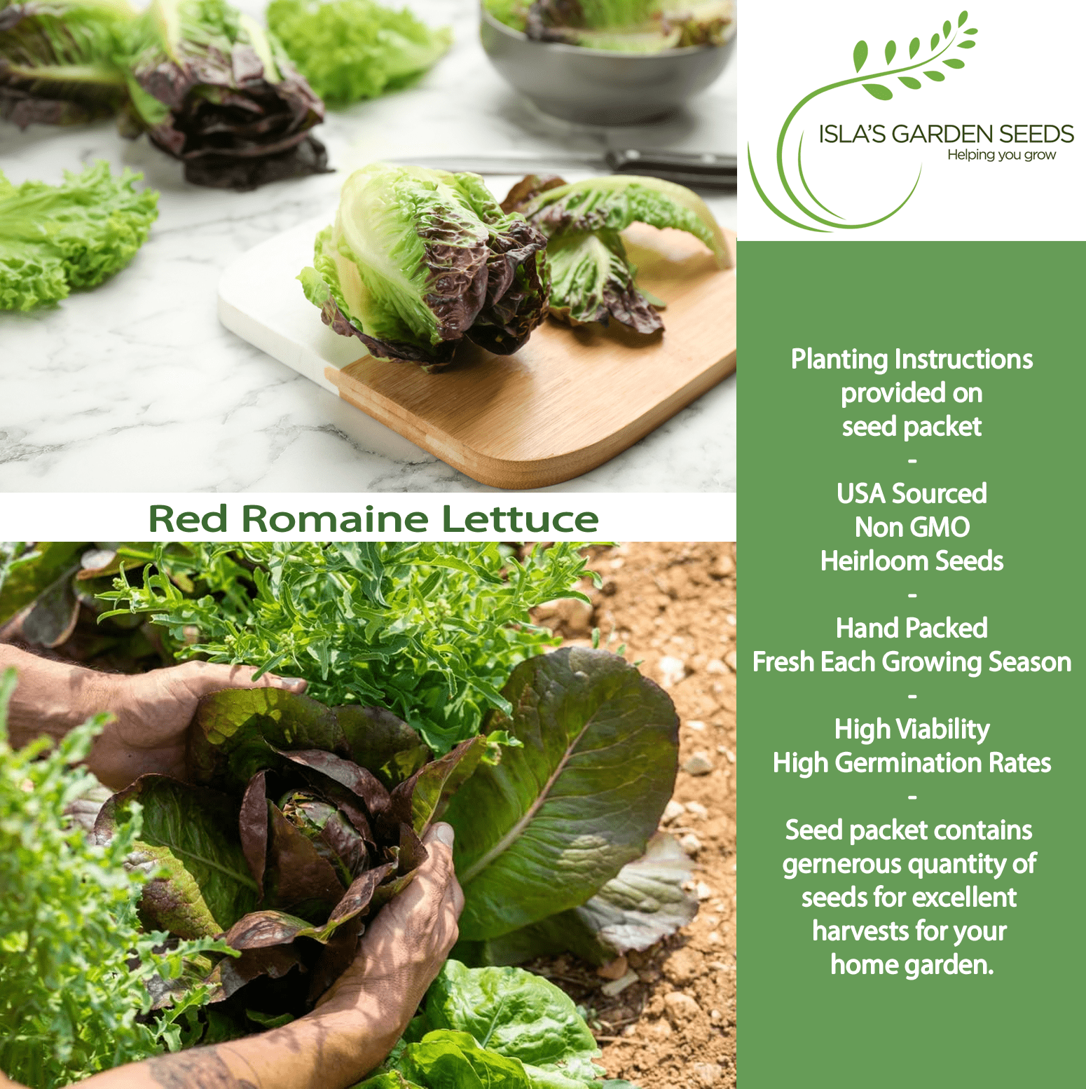 Red Romaine Lettuce | 1000 Seeds/Pk