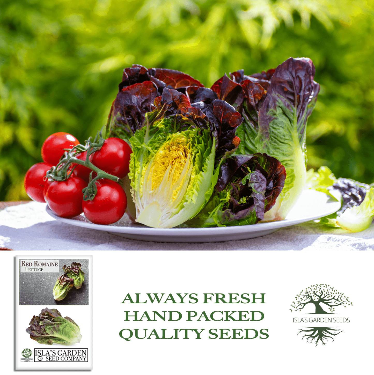 Red Romaine Lettuce | 1000 Seeds/Pk