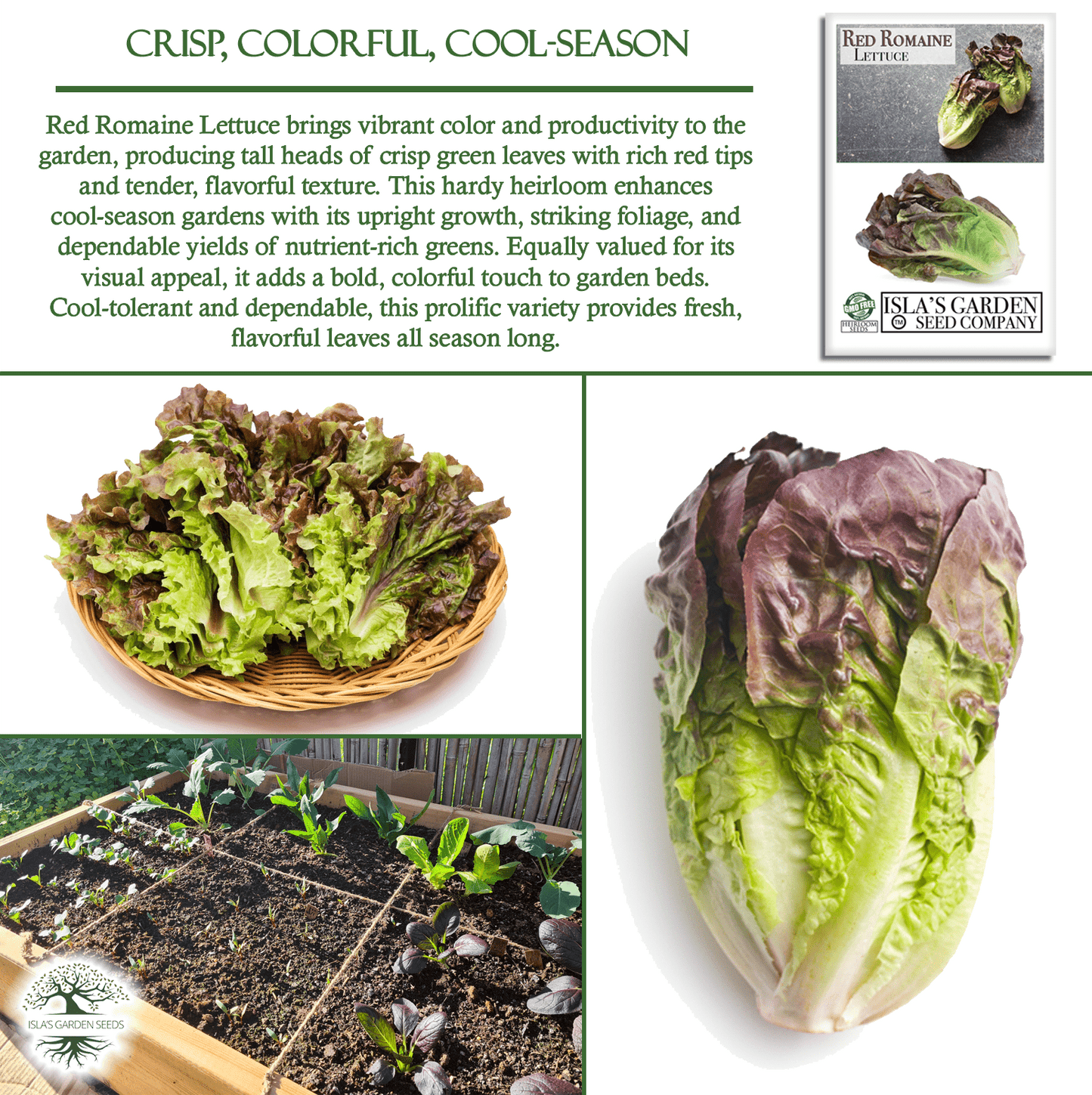 Red Romaine Lettuce | 1000 Seeds/Pk
