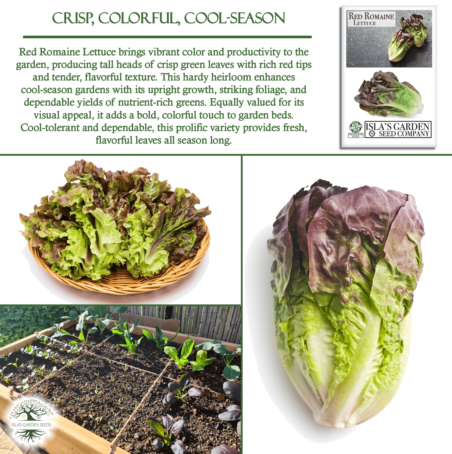 Red Romaine Lettuce | 1000 Seeds/Pk