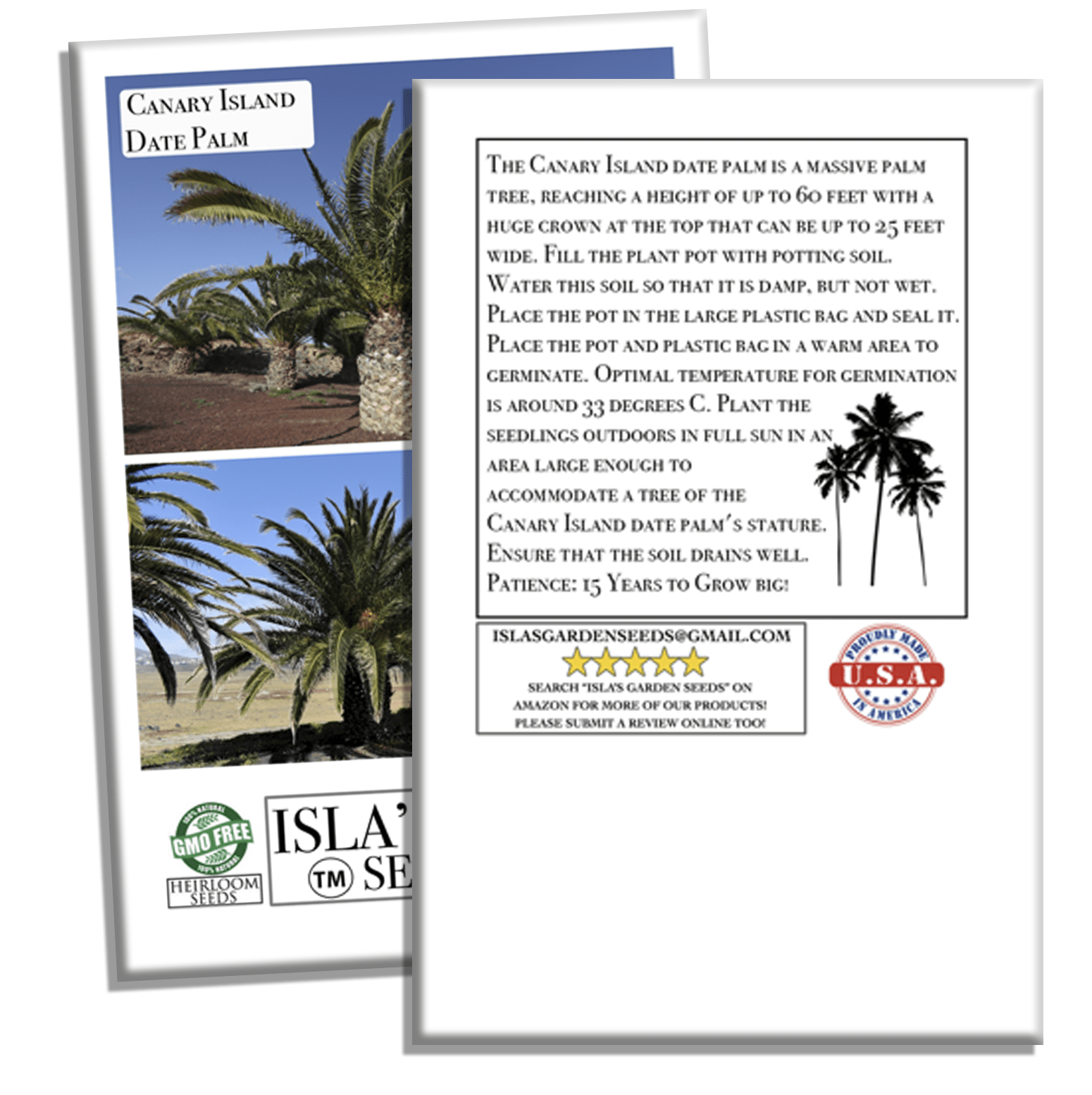 Canary Island Date Palm Tree Seeds, 15 Seeds/Pk