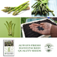 Mary Washington Asparagus | 125 Seeds/Pk