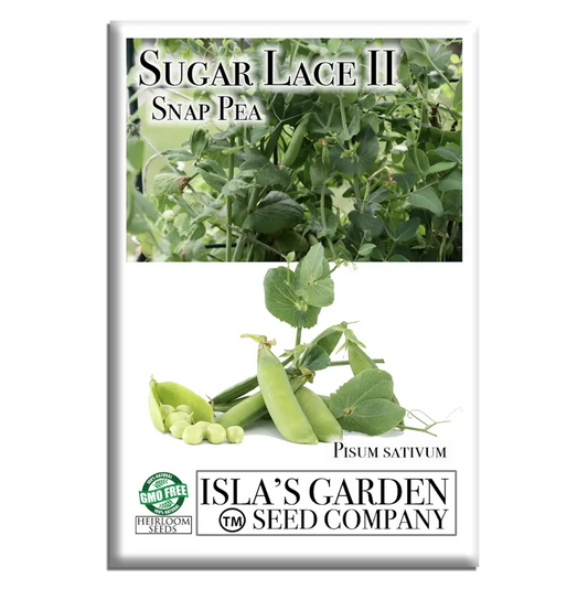 Sugar Lace II Garden Peas | 50 Seeds/Pk