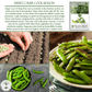 Sugar Lace II Garden Peas | 50 Seeds/Pk