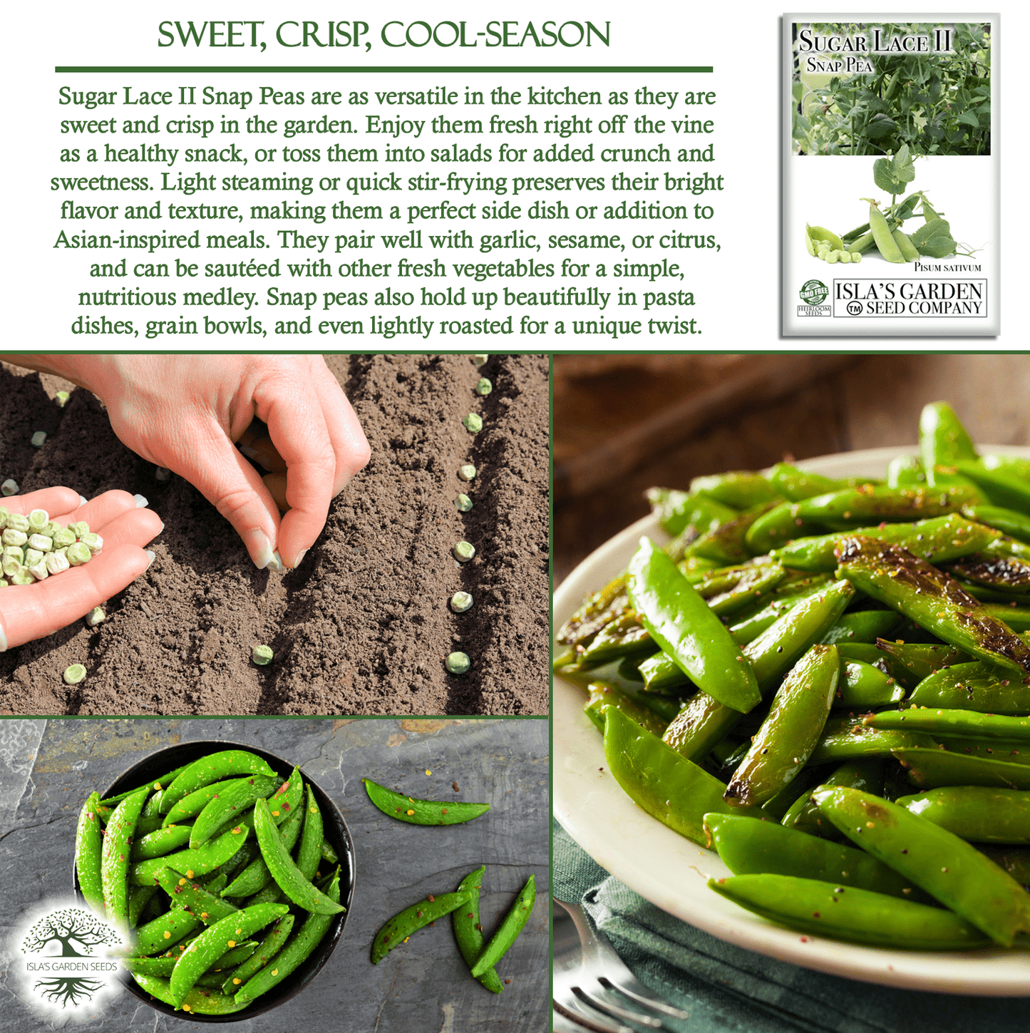 Sugar Lace II Garden Peas | 50 Seeds/Pk