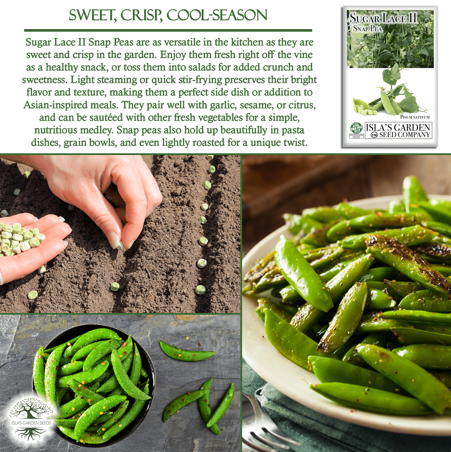 Sugar Lace II Garden Peas | 50 Seeds/Pk