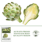 Green Globe Artichoke | 50 Seeds/Pk