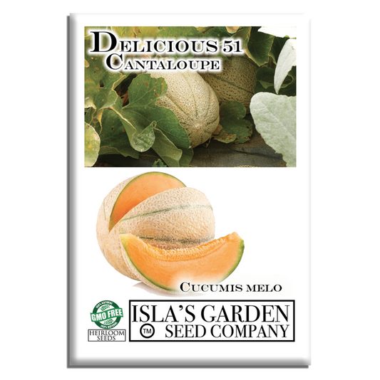 Delicious 51 Cantaloupe | 50 Seeds/Pk