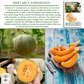 Delicious 51 Cantaloupe | 50 Seeds/Pk