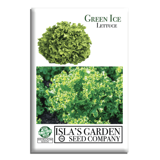 Green Ice Lettuce | 1000 Seeds/Pk