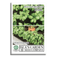 Italian Large Leaf Basil | 500 Seeds/Pk