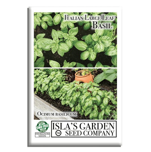 Italian Large Leaf Basil | 500 Seeds/Pk