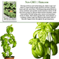 Italian Large Leaf Basil | 500 Seeds/Pk
