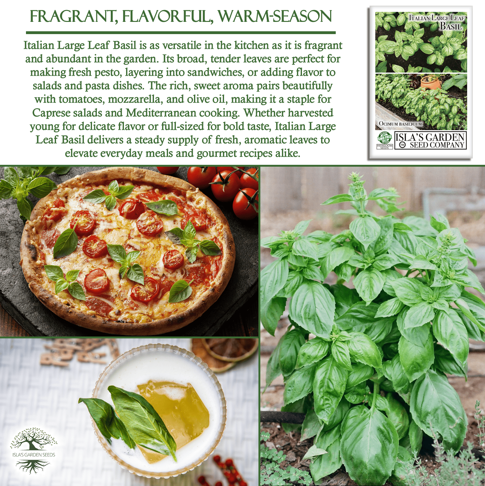 Italian Large Leaf Basil | 500 Seeds/Pk