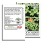 Italian Large Leaf Basil | 500 Seeds/Pk