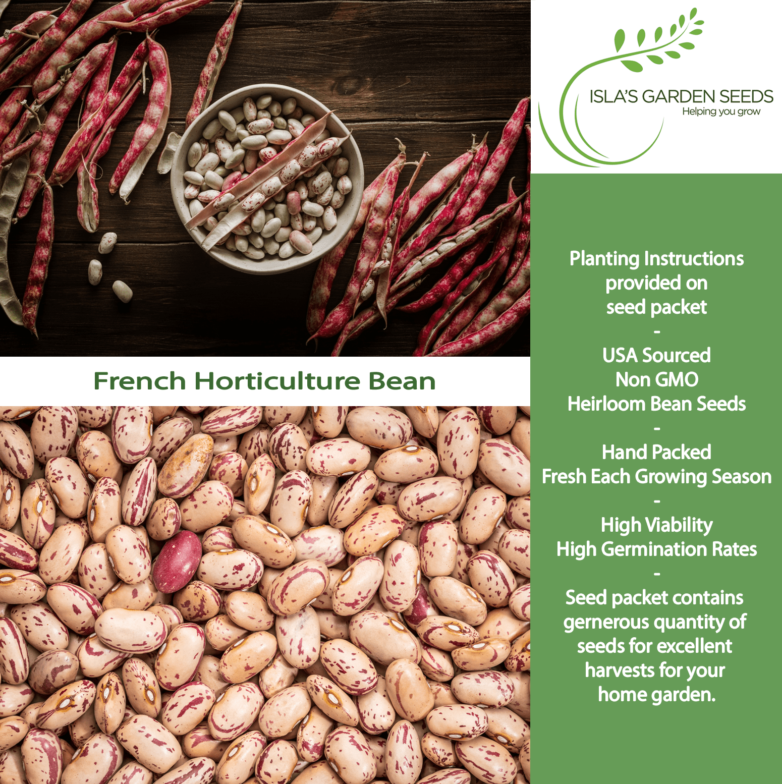 French Horticulture Beans Borlotti | 50 Seeds/Pk