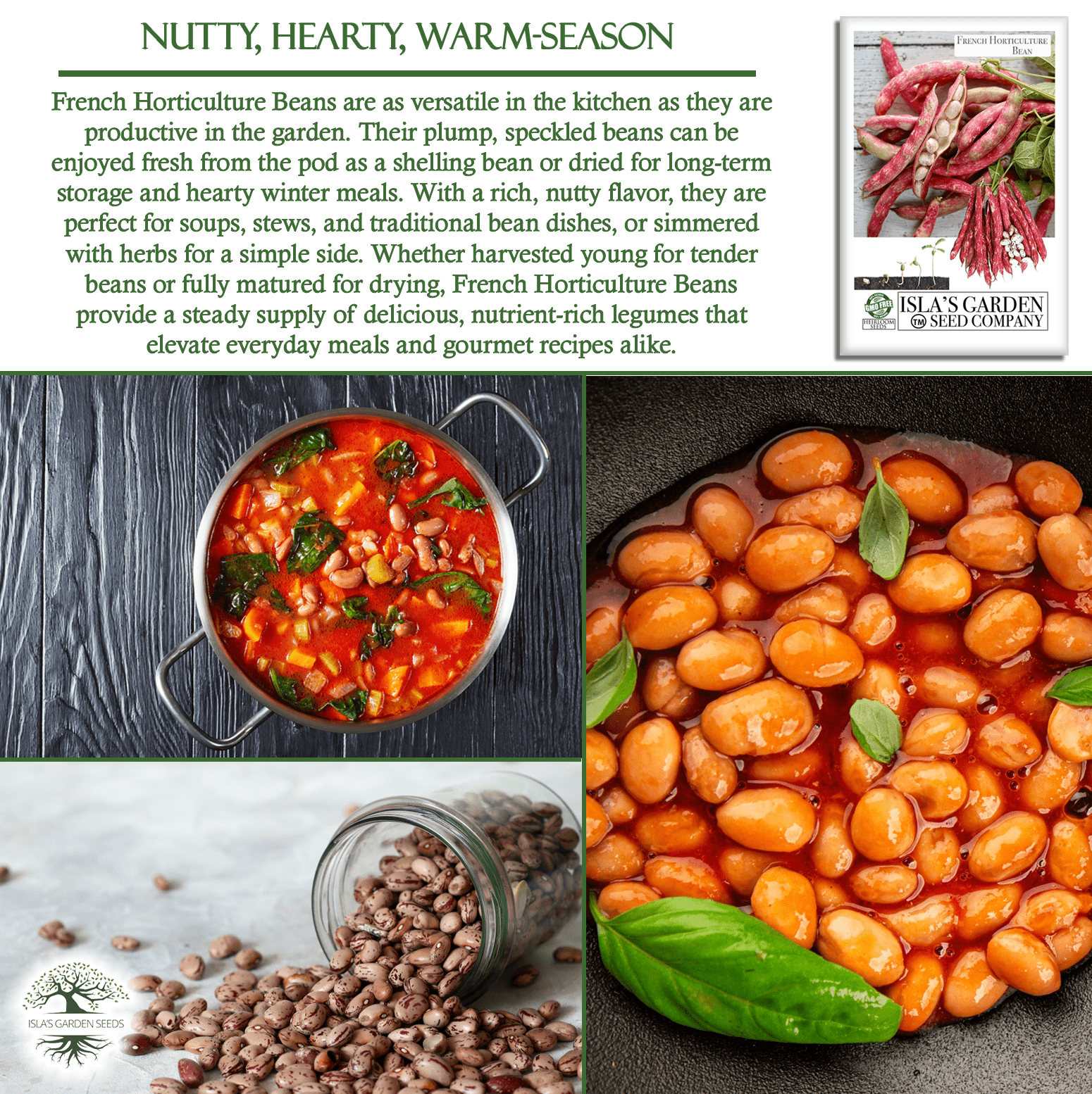 French Horticulture Beans Borlotti | 50 Seeds/Pk