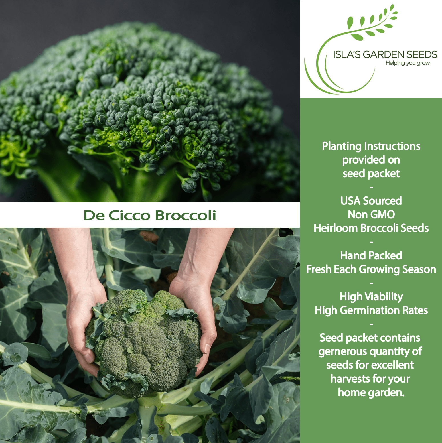 broccoli seeds to plant de Cicco Broccoli Seeds for Planting, 300+ Seeds Per Packet Non GMO Seeds, Botanical Name Brassica oleracea, Great Home Garden Gift