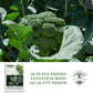 De Cicco Broccoli | 300 Seeds/Pk