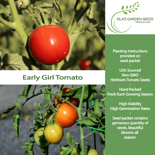 Early Girl Tomato, 25 Heirloom Seeds Per Packet