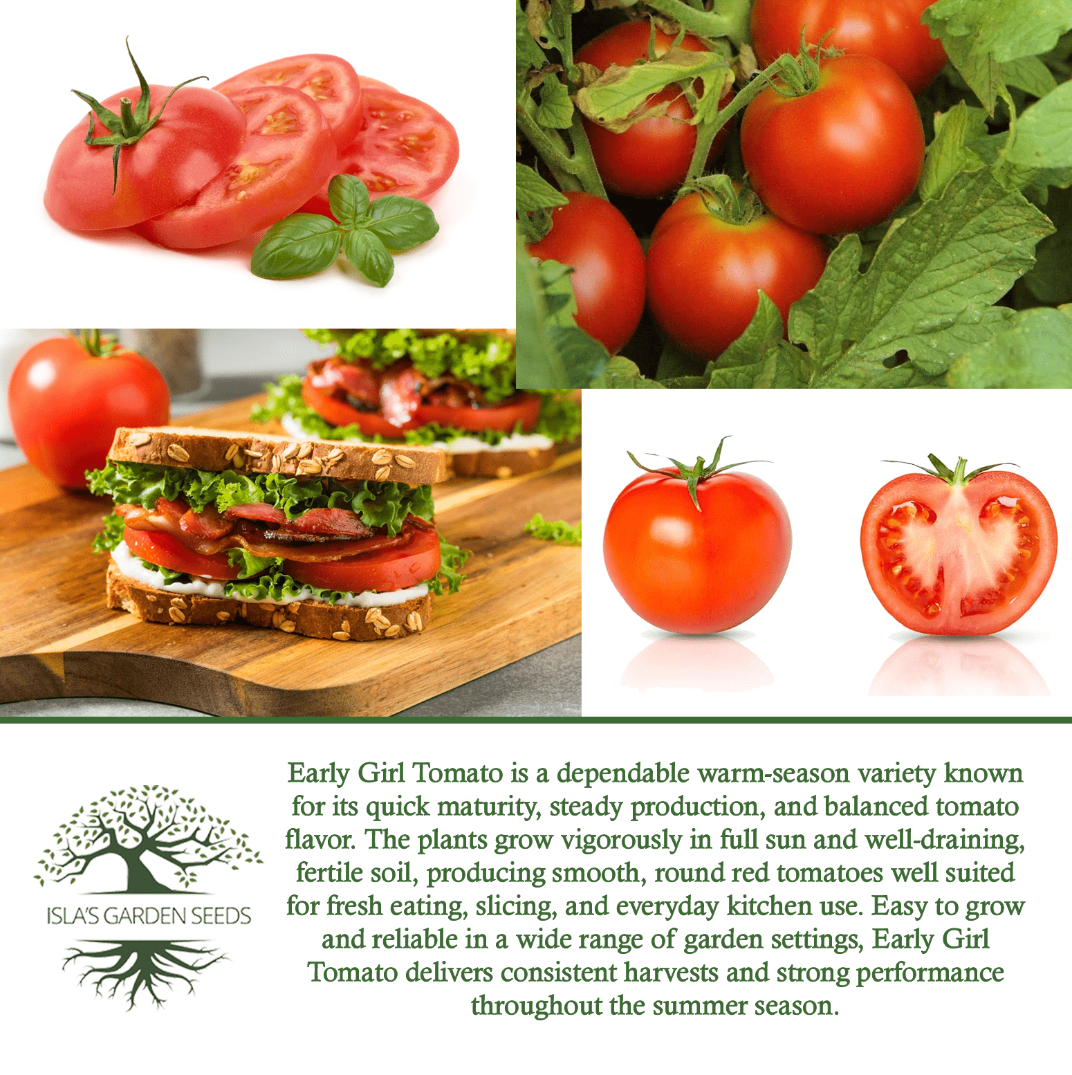 Early Girl Tomato, 25 Heirloom Seeds Per Packet