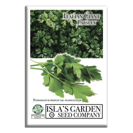 Italian Giant Parsley | 200 Seeds/Pk