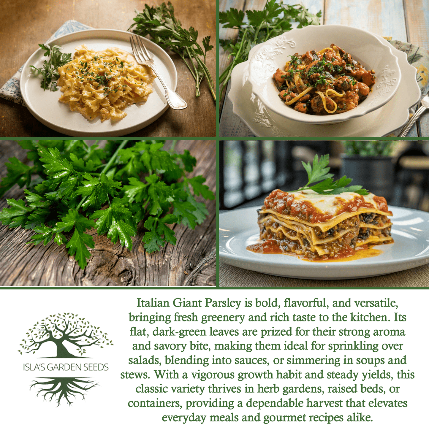 Italian Giant Parsley | 200 Seeds/Pk