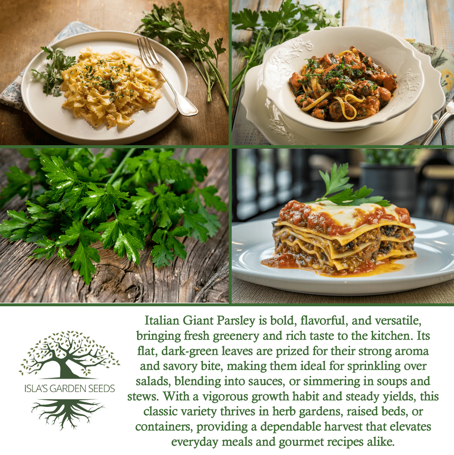 Italian Giant Parsley | 200 Seeds/Pk