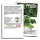 Italian Giant Parsley | 200 Seeds/Pk