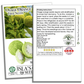 Osage Orange Tree Seeds | 30 Seeds/Pk