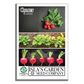 Comet Radish | 200 Seeds/Pk