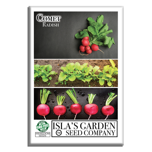 Comet Radish | 200 Seeds/Pk