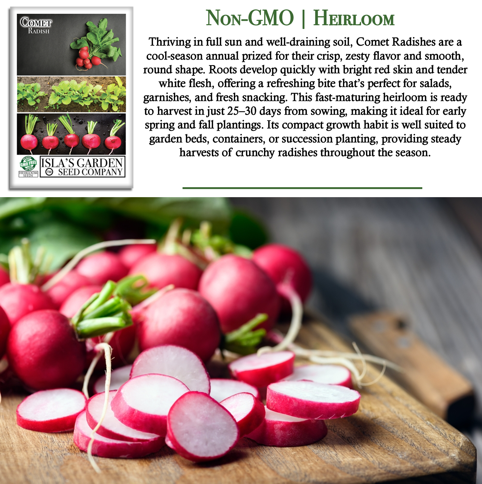 Comet Radish | 200 Seeds/Pk