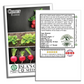Comet Radish | 200 Seeds/Pk
