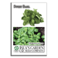 Sweet Basil | 250 Seeds/Pk