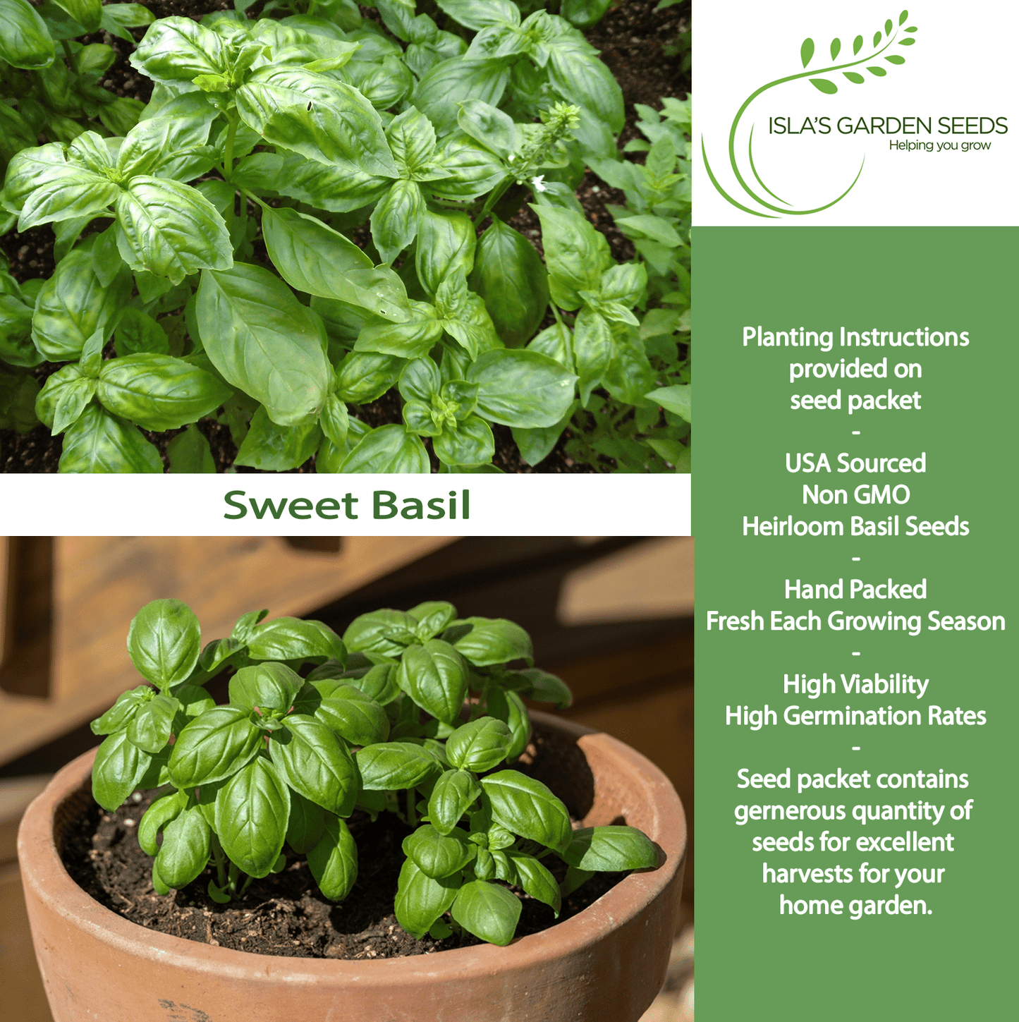 Sweet Basil | 250 Seeds/Pk