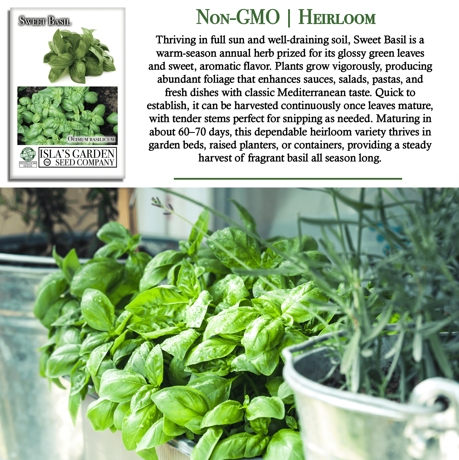 Sweet Basil | 250 Seeds/Pk