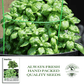 Sweet Basil | 250 Seeds/Pk