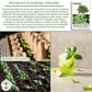 Sweet Basil | 250 Seeds/Pk