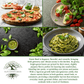 Sweet Basil | 250 Seeds/Pk