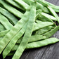 Roma II Bush Bean Phaseolus vulgaris - 30 Heirloom Seeds Per Packet