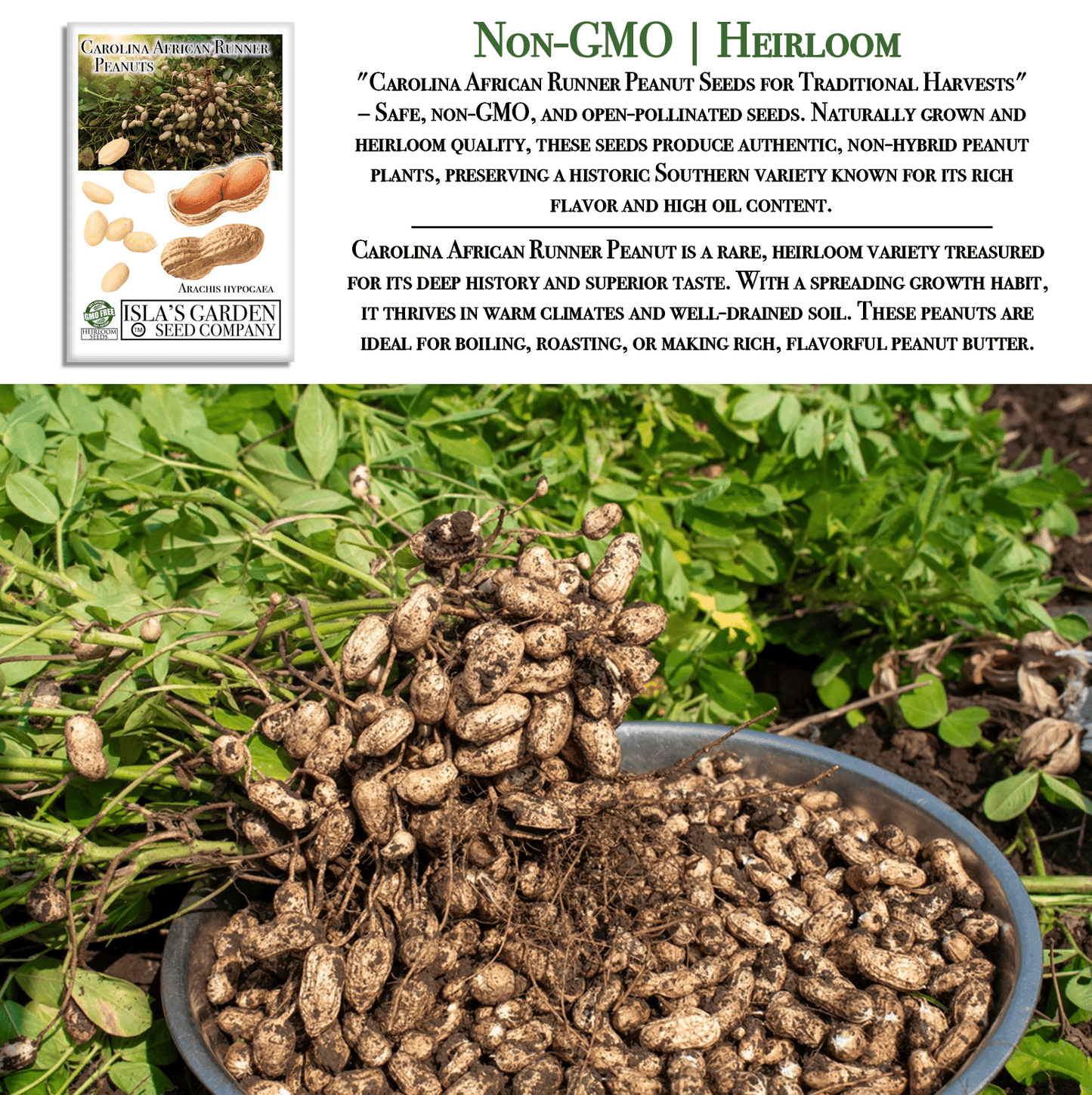 Carolina African Runner Peanut - 20 Seeds/Pk
