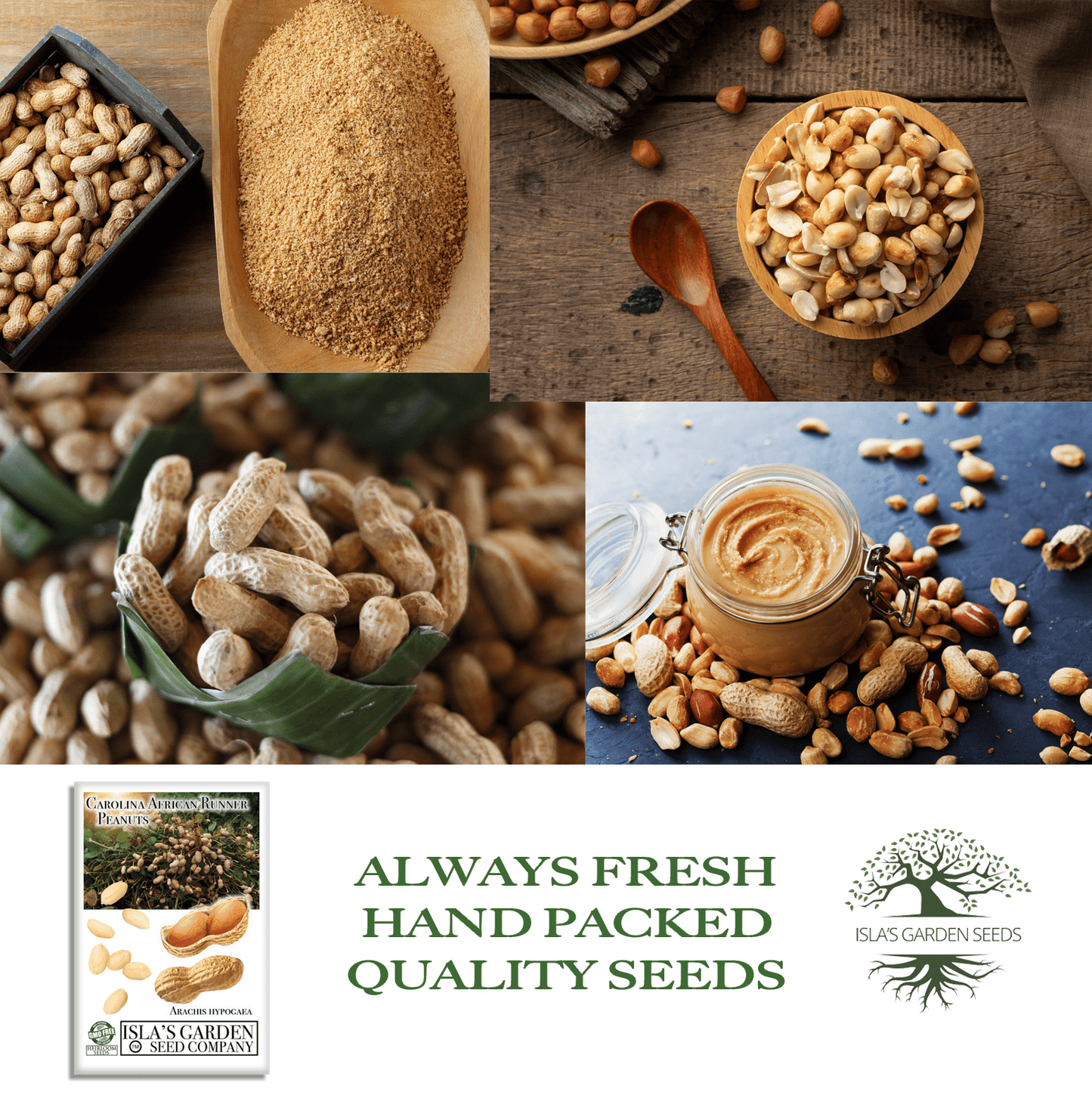 Carolina African Runner Peanut - 20 Seeds/Pk