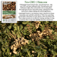 Wild Jungle Peanuts | 20 Seeds/Pk